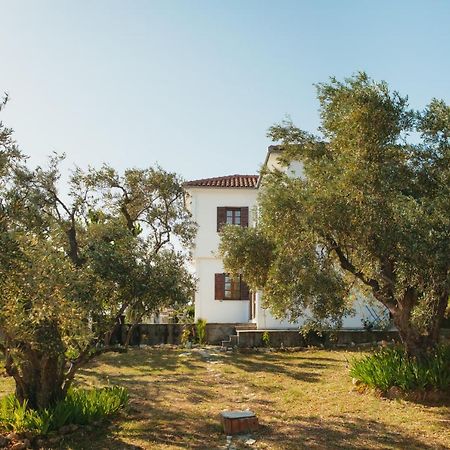 Βίλλα Φανούλα Villa Fanoula Χόρτο Εξωτερικό φωτογραφία