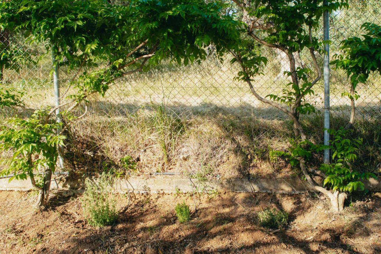 Βίλλα Φανούλα Villa Fanoula Χόρτο Εξωτερικό φωτογραφία