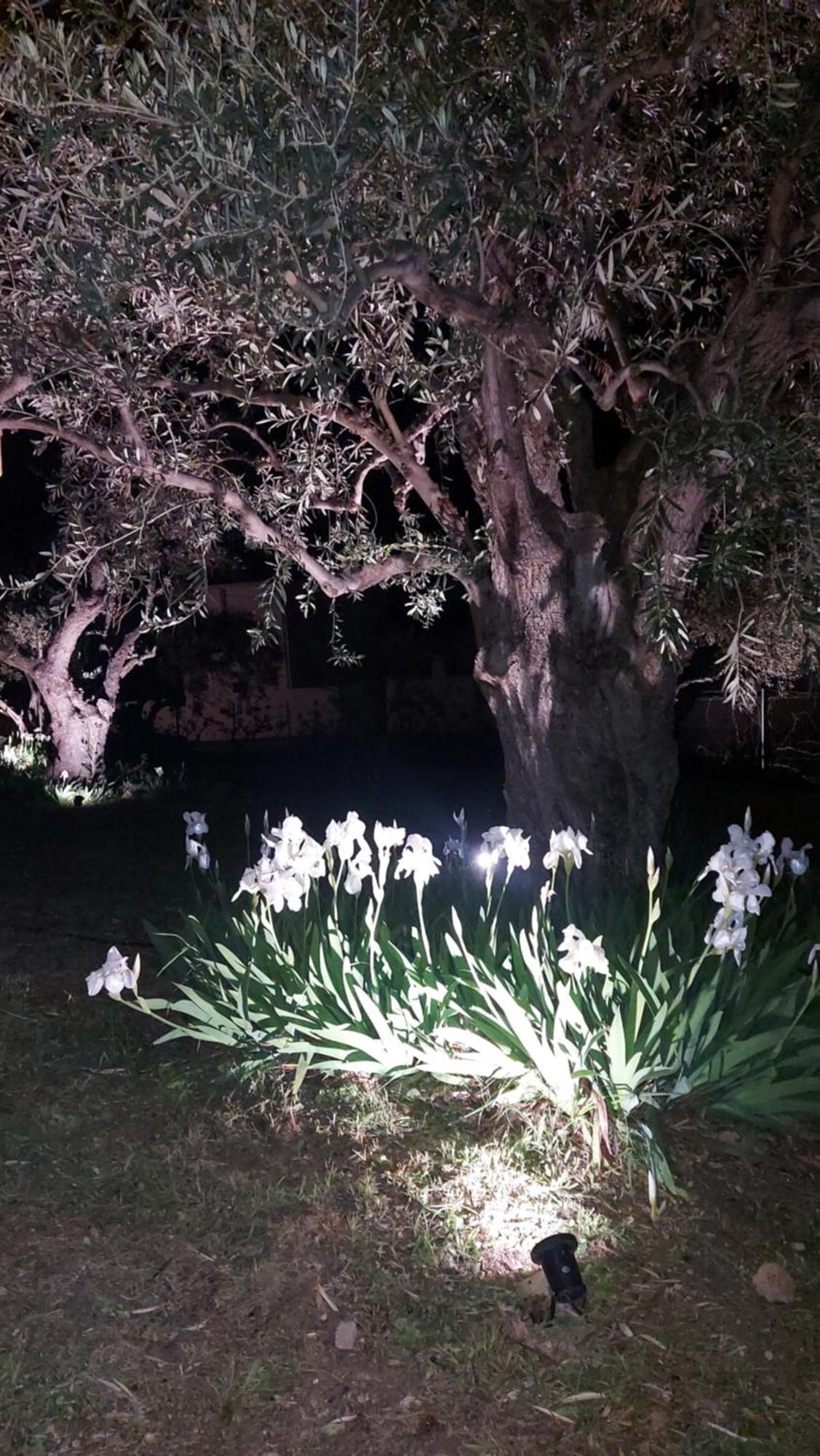 Βίλλα Φανούλα Villa Fanoula Χόρτο Εξωτερικό φωτογραφία
